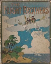 Cover of The Flight brothers
