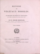 Cover of Histoire des végétaux fossiles, ou, Recherches botaniques et géologiques sur les végétaux renfermés dans les diverses couches du globe