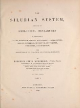 Cover of The Silurian system, founded on geological researches in the counties of Salop, Hereford, Radnor, Montgomery, Caermarthen, Brecon, Pembroke, Monmouth,