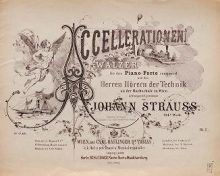 Cover of Accellerationen