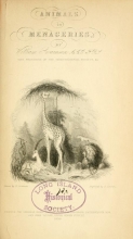 Cover of Animals in menageries
