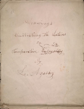 Cover of Drawings illustrating the Lowell Lectures on comparative embryology