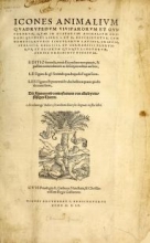 Cover of Icones animalium quadrupedum uiuiparorum et ouiparorum