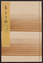 Cover of Shul,ko jisshu v. 19