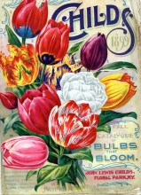 Image of colorful flowers on cover of magazine 