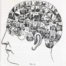 illustration of a human head with the brain area filled with little compartments containing scenes meant to illustrate phrenological diagnoses