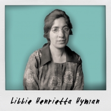 Libbie Henrietta Hyman