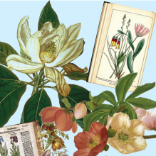 Your Smithsonian Libraries