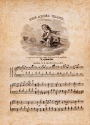 Cover of The ariel waltz