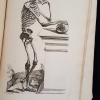 A Plate Depicting a Posed Human Skeleton, from Methode pour Apprendre le Dessein