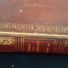 Cover and spine of Conchology, or, The Natural History of Shells 