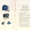 British mineralogy or coloured figures intended to elucidate the mineralogy of Great Britain.