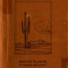 Book cover of The Desert Garden