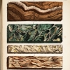 color illustration of cross sections of types of marble