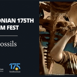 Graphic for Fossil Film Fest