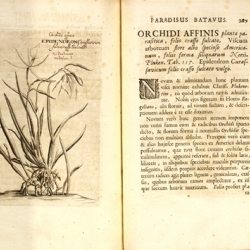 Paradisus batavus, continens plus centum plantas affabre aere incises & descriptionibus illustratas.