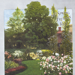 photo of a garden with trees and flowers