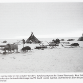 black and white image of Siberian reindeer herder camp with sleds and tents