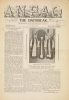 Cover of Anpao - v. 39 no. 7 Nov.-Dec. 1928