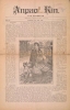 Cover of Anpao kin